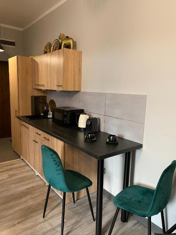 Apartament Czarne Zloto Katowice Eksteriør bilde