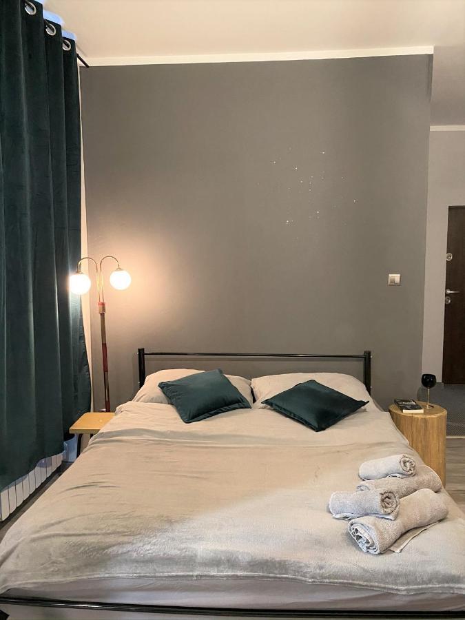 Apartament Czarne Zloto Katowice Eksteriør bilde