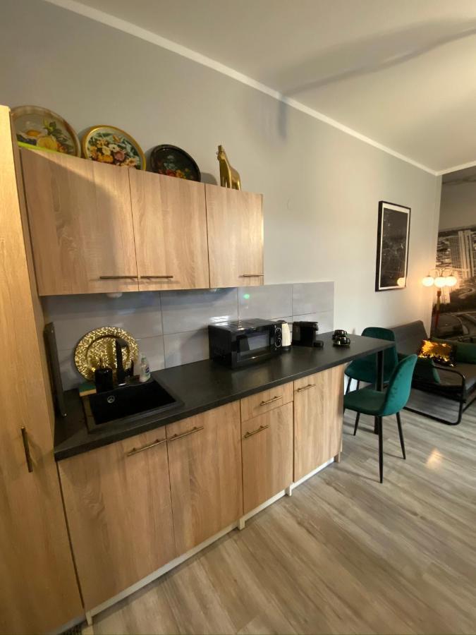 Apartament Czarne Zloto Katowice Eksteriør bilde