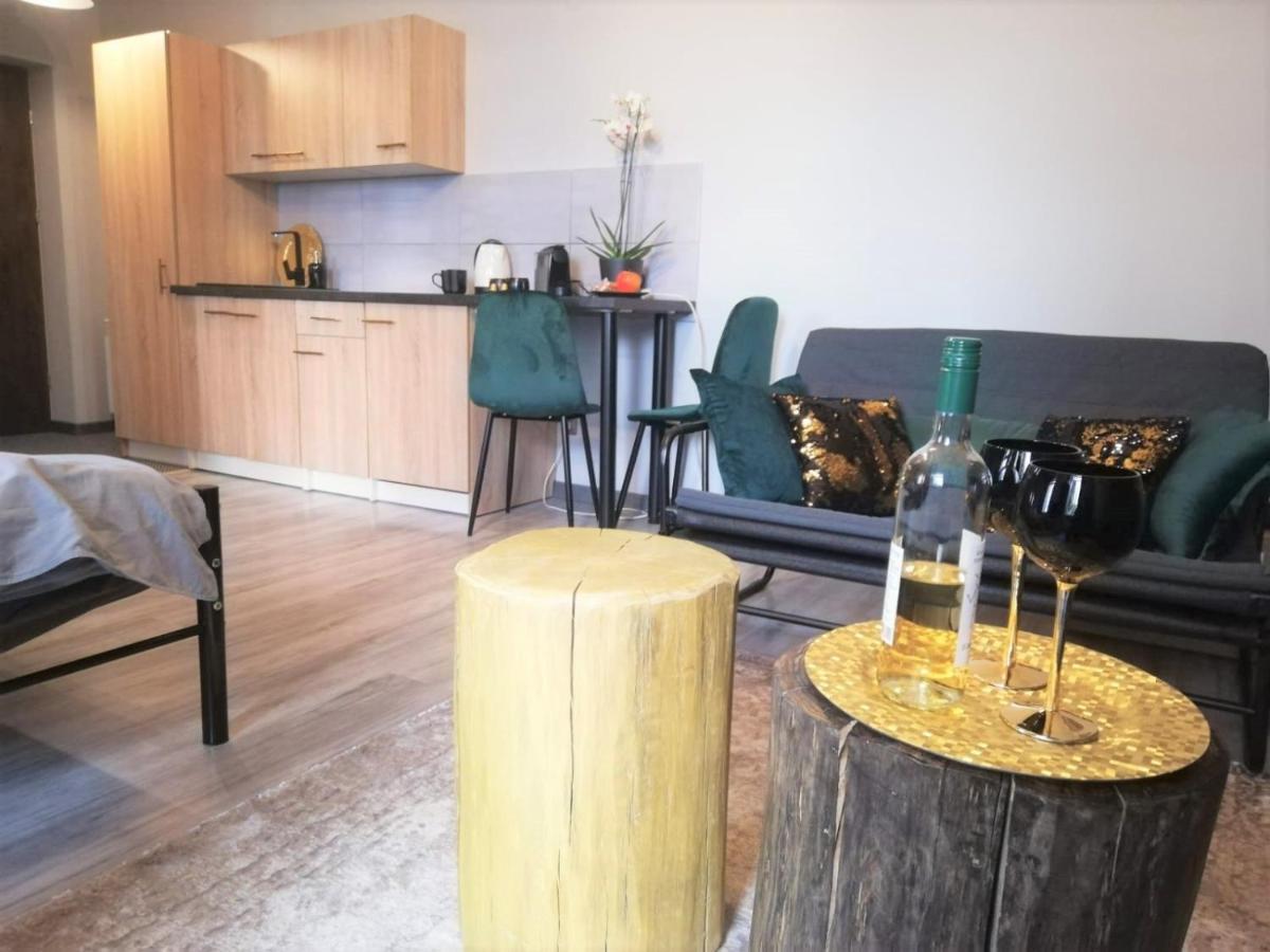 Apartament Czarne Zloto Katowice Eksteriør bilde