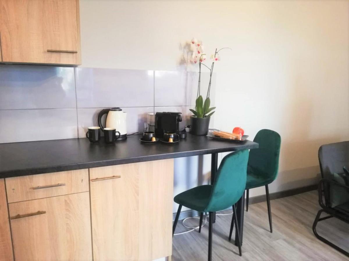 Apartament Czarne Zloto Katowice Eksteriør bilde